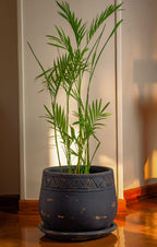 The Serenity Pot - Black