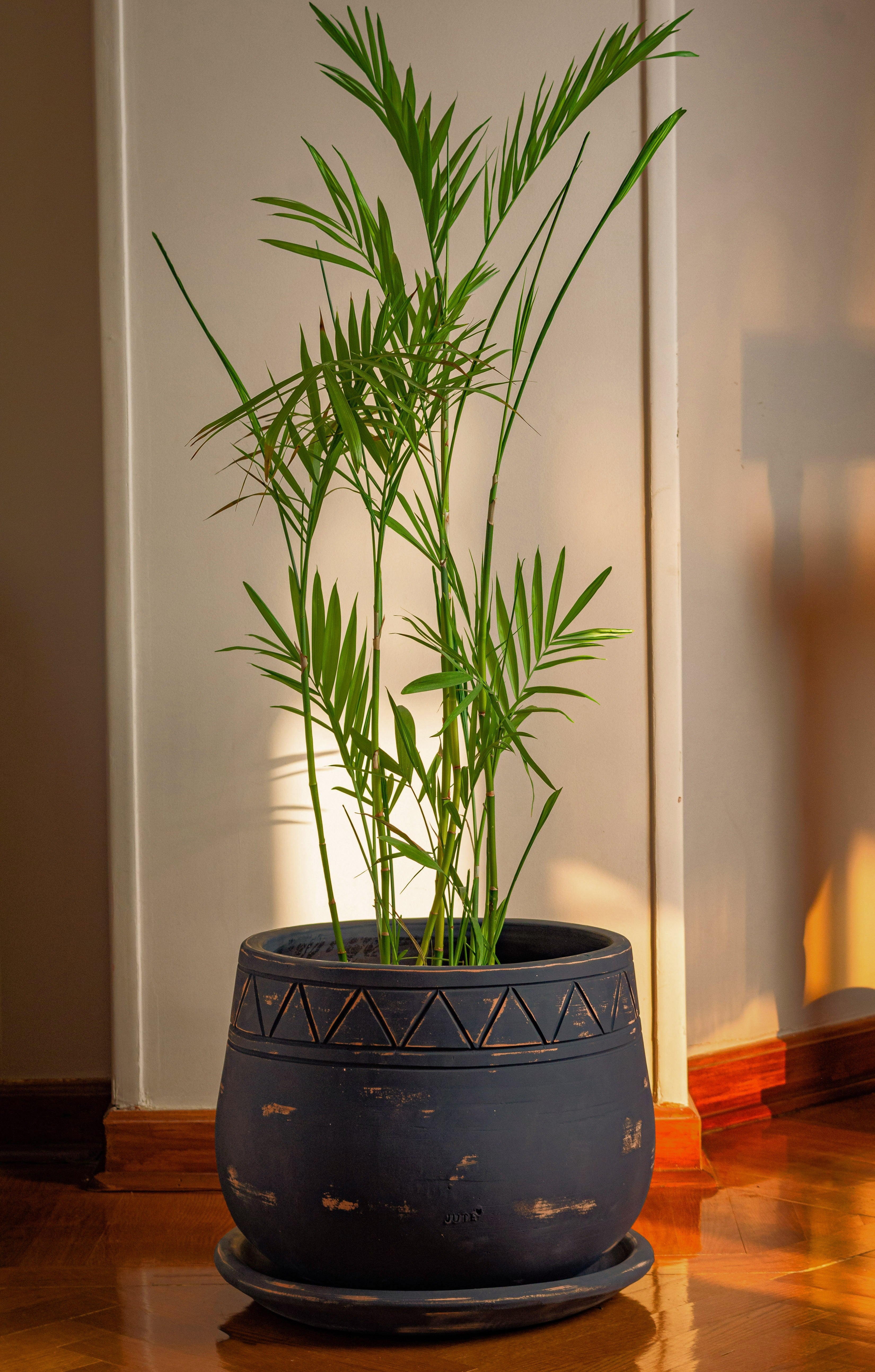 The Serenity Pot - Black