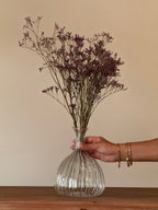 Glass Dome Vase / Jug