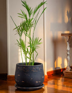 The Serenity Pot - Black