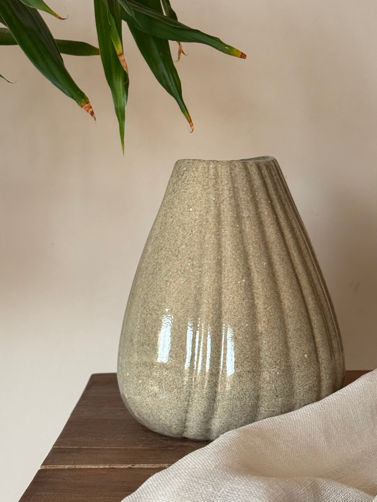 Shell Vase - Light Fusion