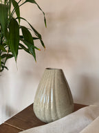 Shell Vase - Light Fusion