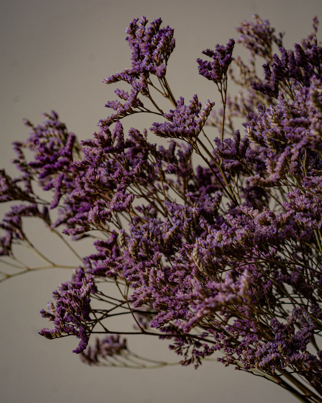 Limonium Bouquet