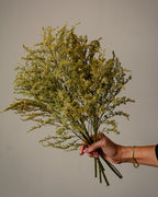 Solidago Bouquet