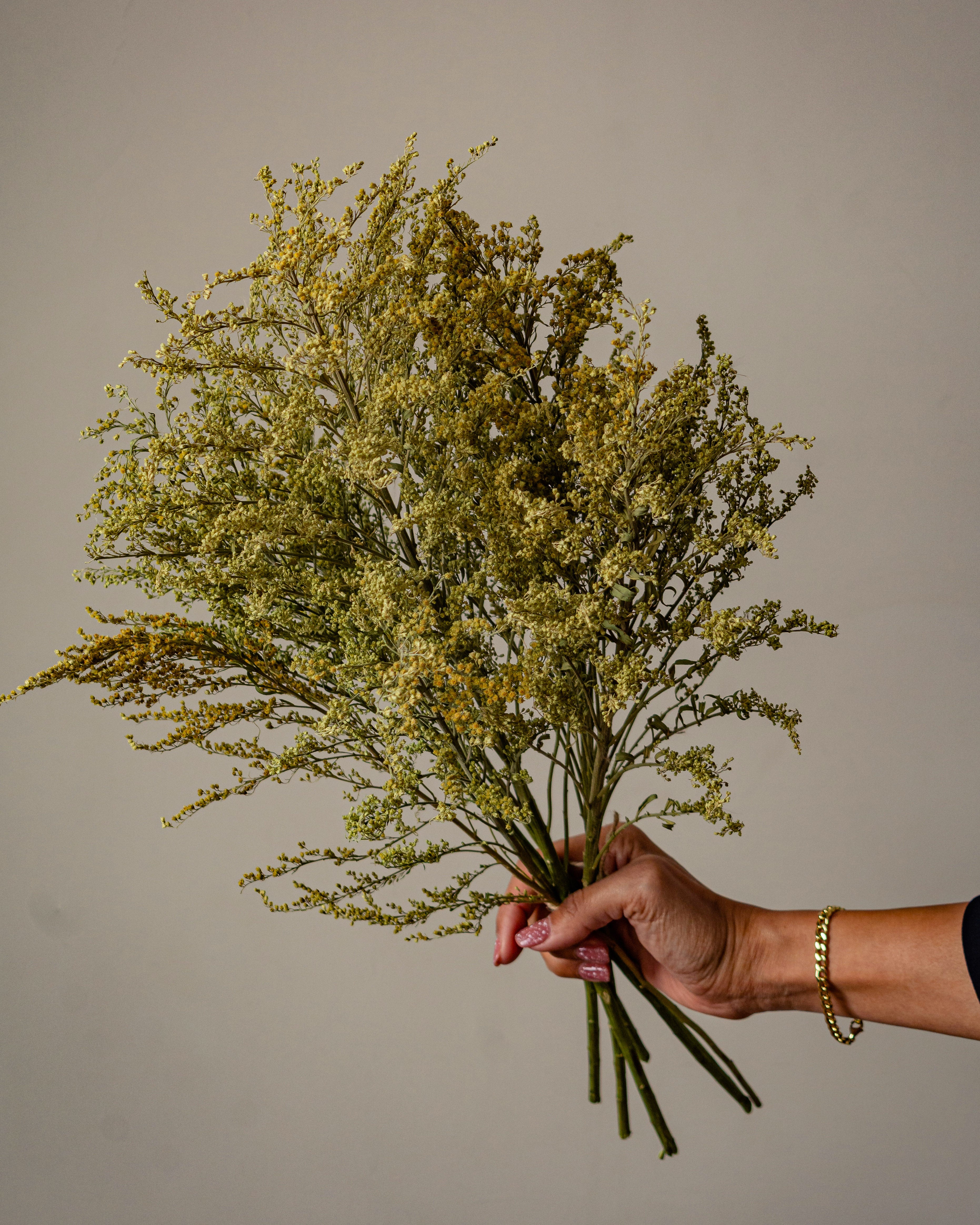 Solidago Bouquet