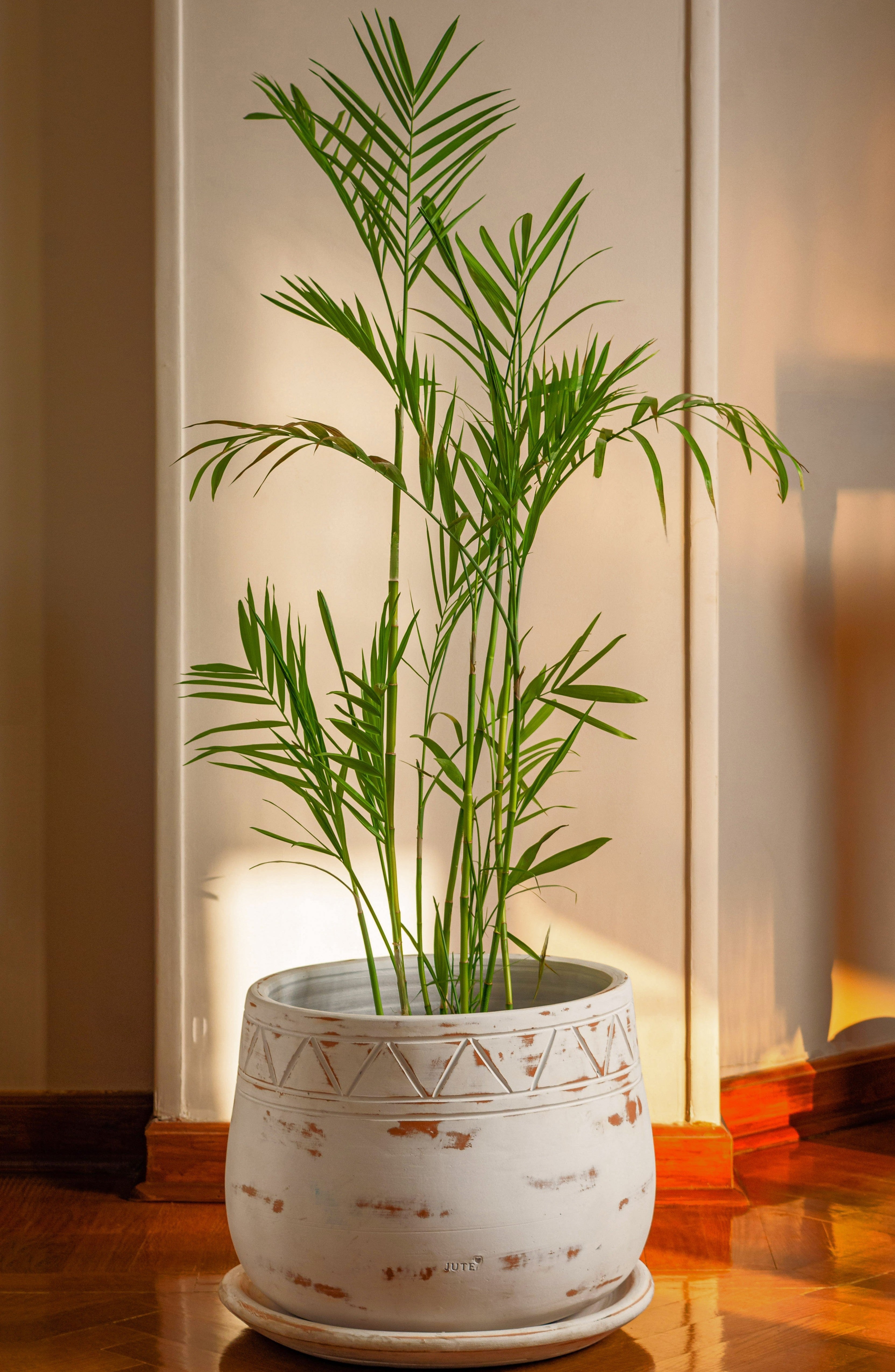 The Serenity Pot- Off White