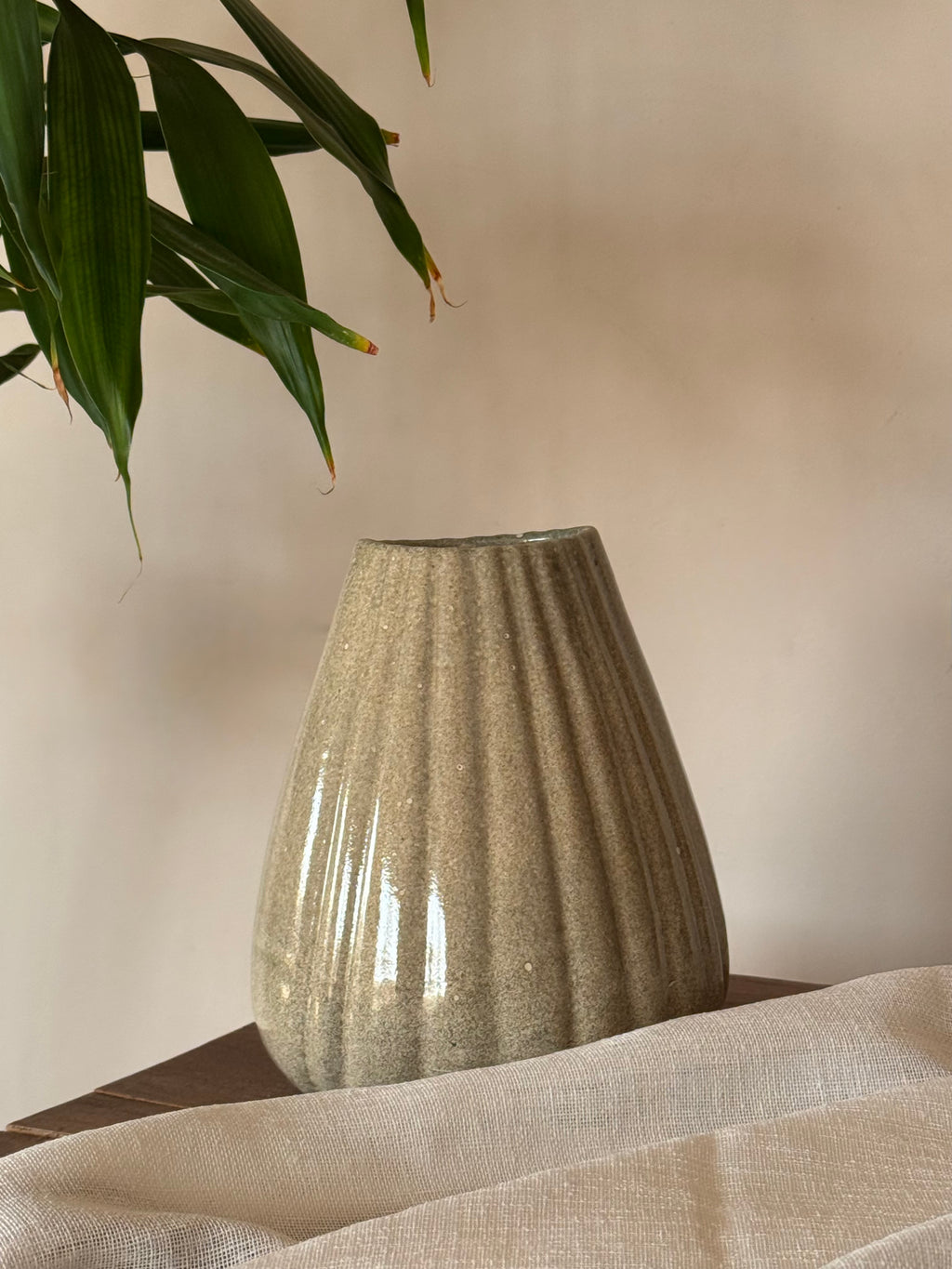 Shell Vase - Light Fusion
