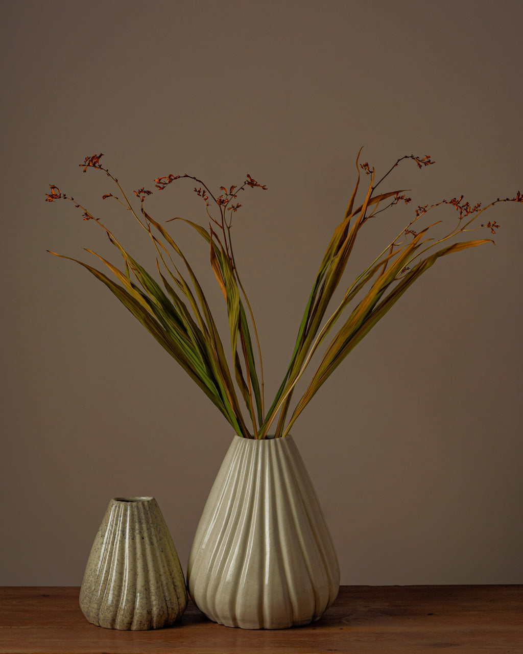 Shell Vase - Light Fusion