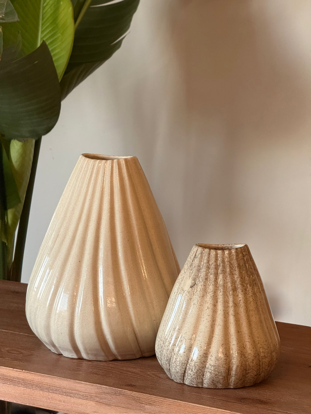 Shell Vase - Light Fusion