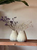 Shell Vase - Light Fusion