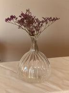 Glass Dome Vase / Jug