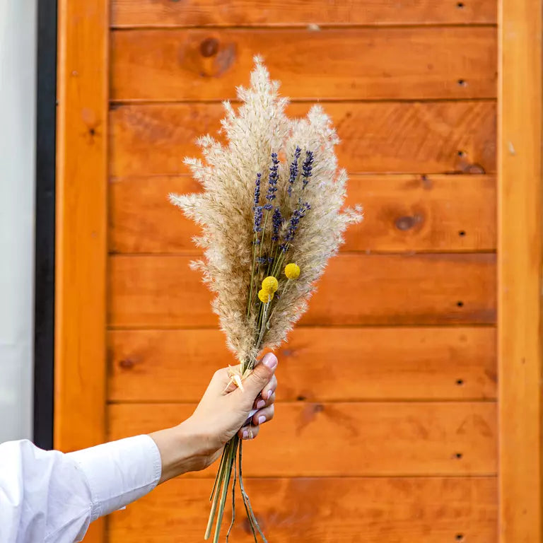 Lavender with Craspedia and Pampas