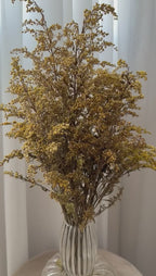 Solidago Bouquet