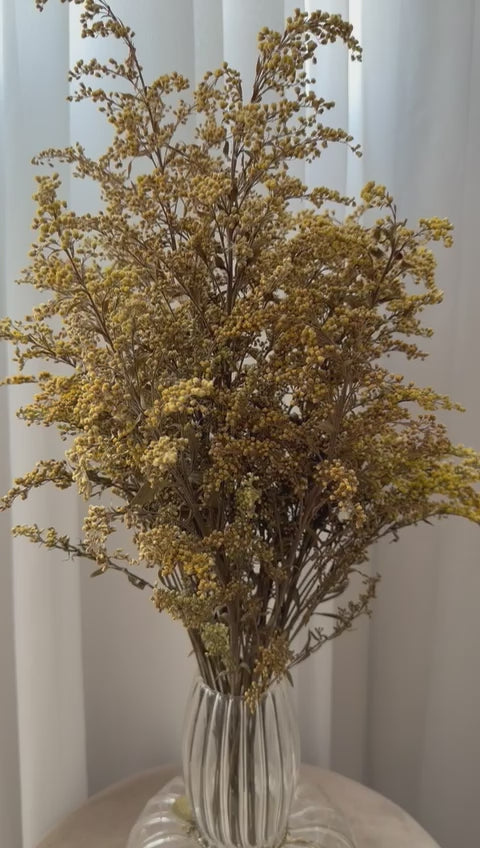 Solidago Bouquet