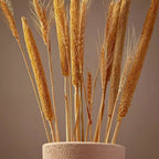WHEAT & STICKS