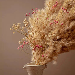 PAMPAS WITH GYPSOPHILA