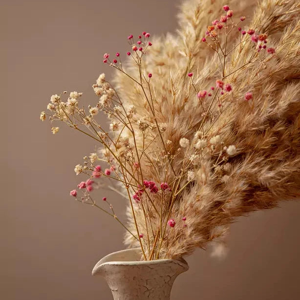 PAMPAS WITH GYPSOPHILA