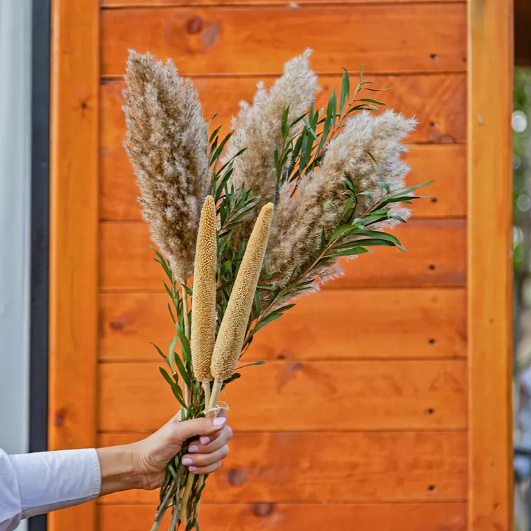 Pampas with Sticks and Greenery