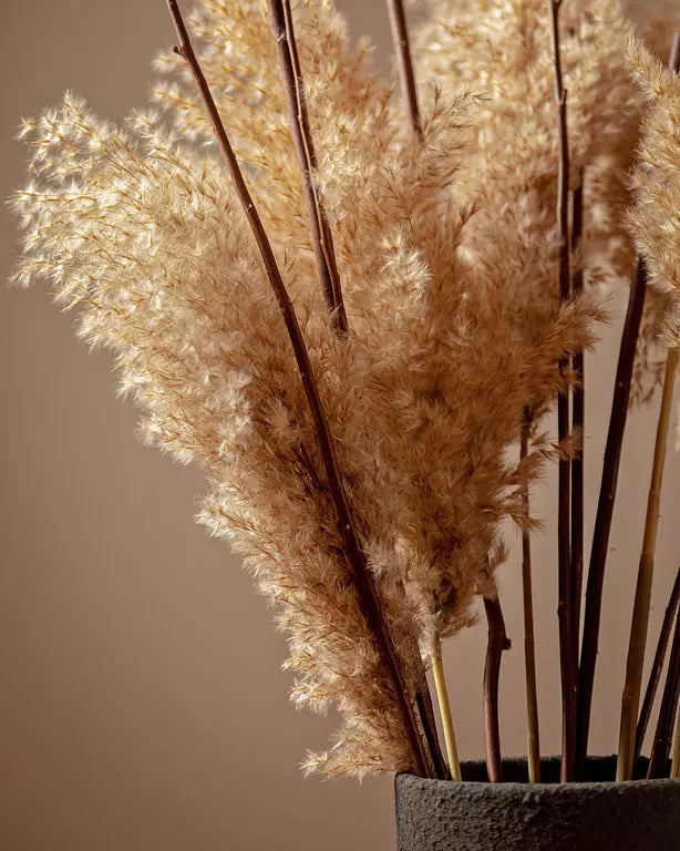 TWIG WITH PAMPAS